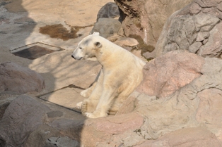 DSC_2176.JPG