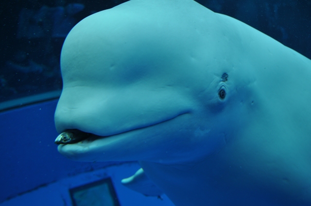 DSC_2574.JPG