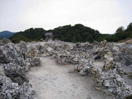 IMG_6174.JPG