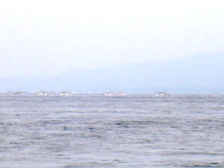 IMG_6189.JPG