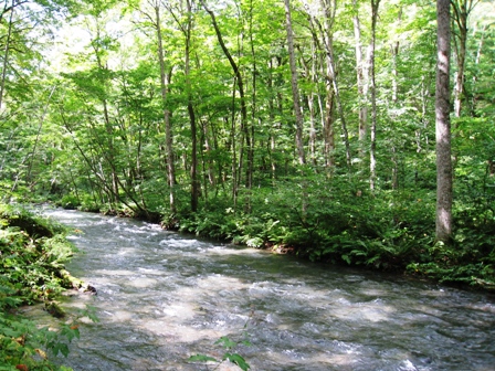 IMG_6285.JPG