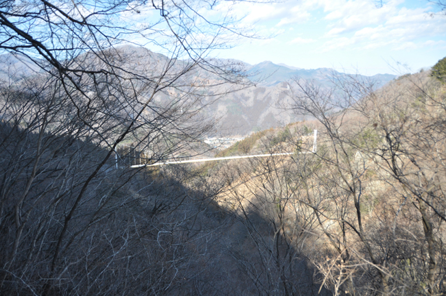 20140202_1127.jpg