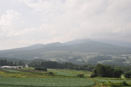 DSC_5129.JPG