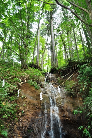 DSC_5200.JPG