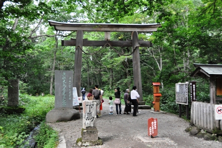 DSC_5206.JPG