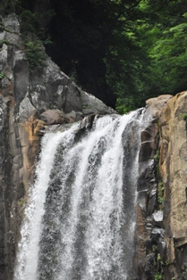 DSC_5251.JPG