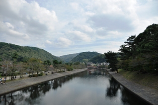 DSC_6009.JPG