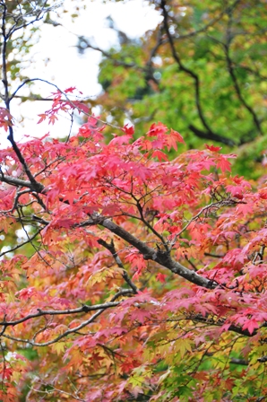 DSC_6389.JPG