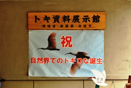2012_10_06_14080_DSC_8365.JPG