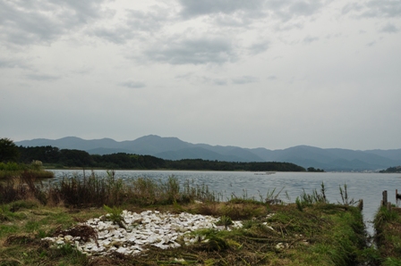 2012_10_06_14091_DSC_8376.JPG