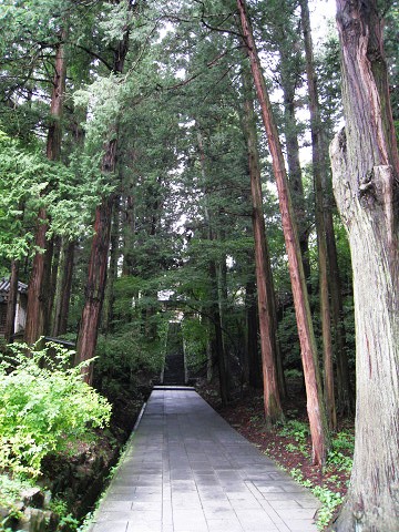 sIMG_1483.jpg
