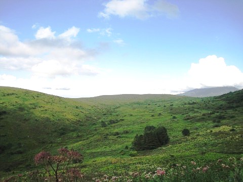 sIMG_1512.jpg