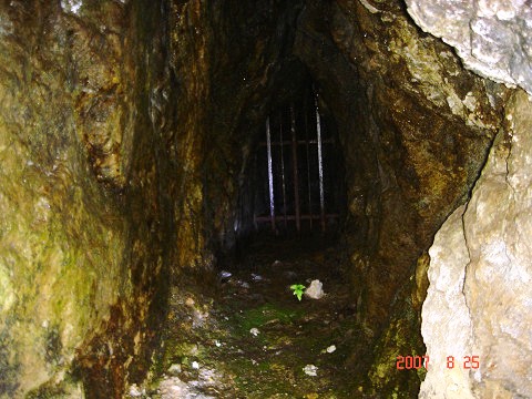 sDSC03694.jpg