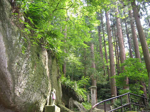 sIMG_0390.jpg