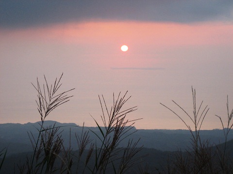 sIMG_0444.jpg
