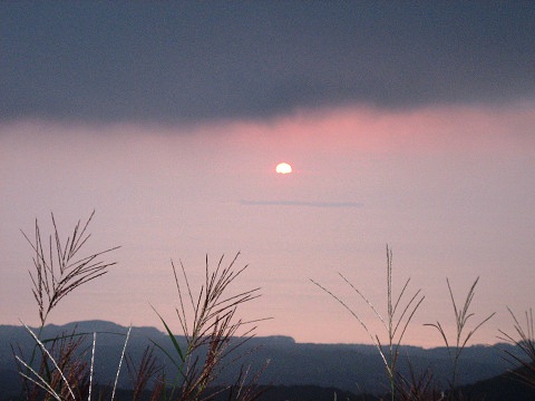 sIMG_0447.jpg