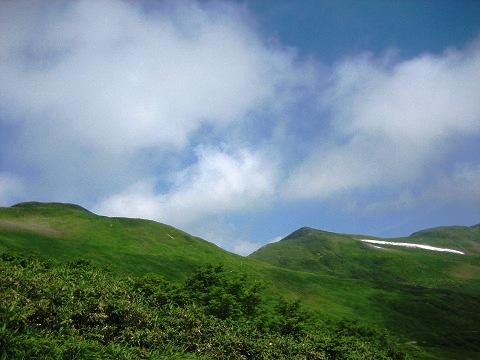 sIMG_0491.jpg